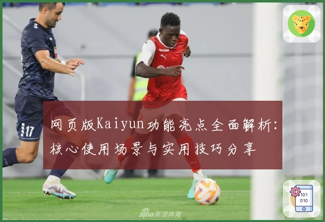 网页版Kaiyun功能亮点全面解析：核心使用场景与实用技巧分享