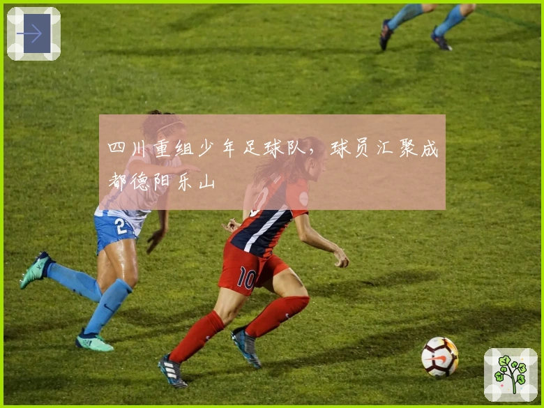 四川重组少年足球队,球员汇聚成都德阳乐山